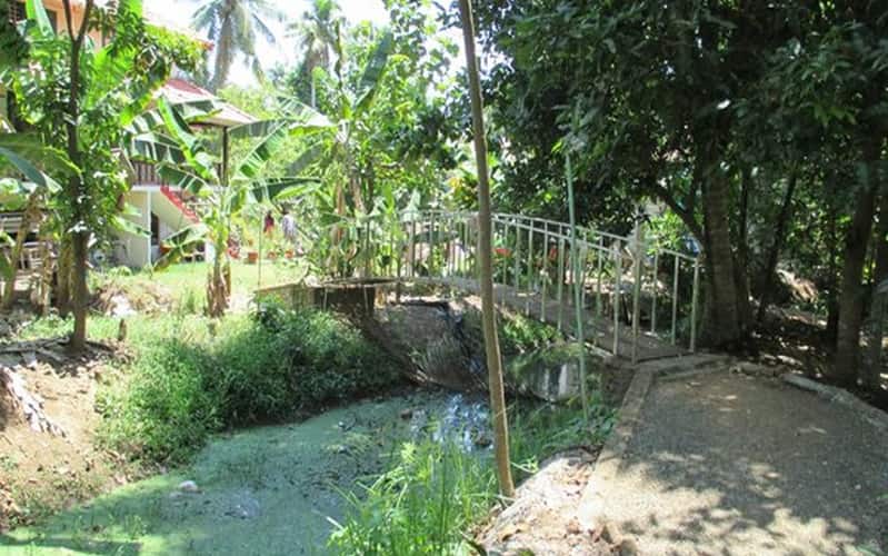 Navallil Green Palm Homes, Alleppey 5